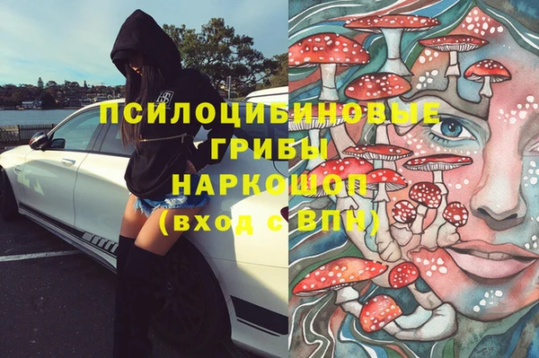 эйфоретик Горняк
