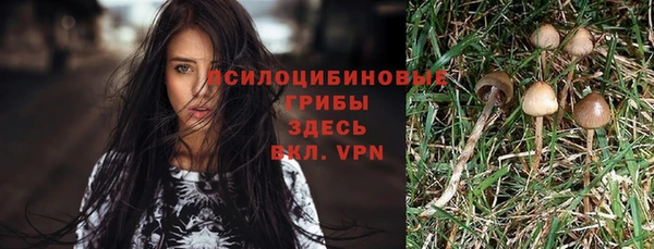 эйфоретик Горняк