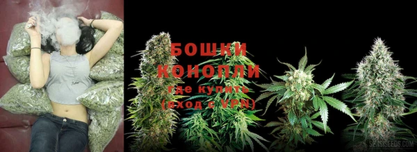 прущая мука Гусев