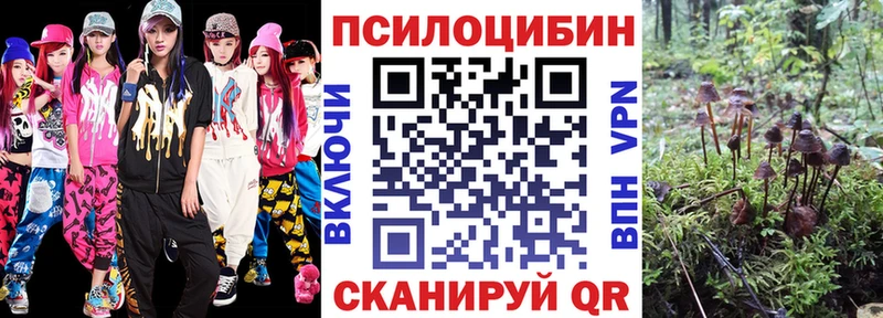 Галлюциногенные грибы Cubensis  Одинцово 